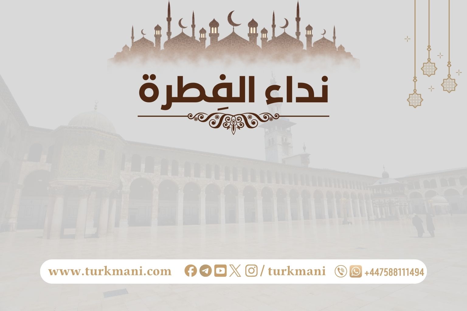 صورة الدورة