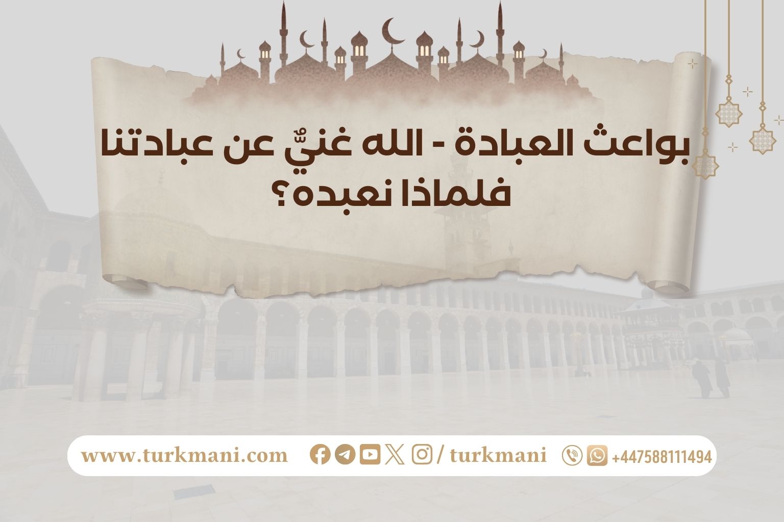 صورة الدورة