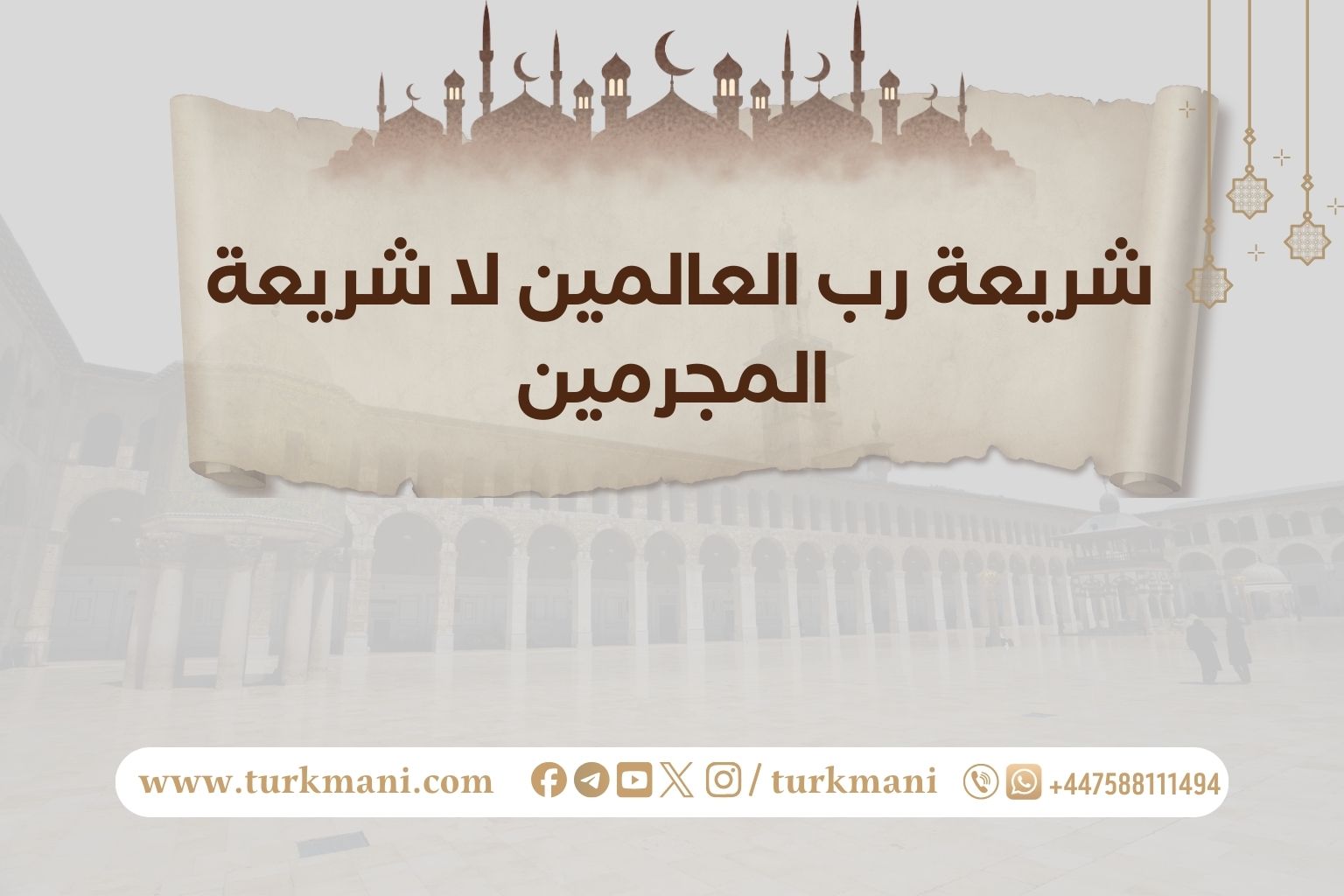 صورة الدورة