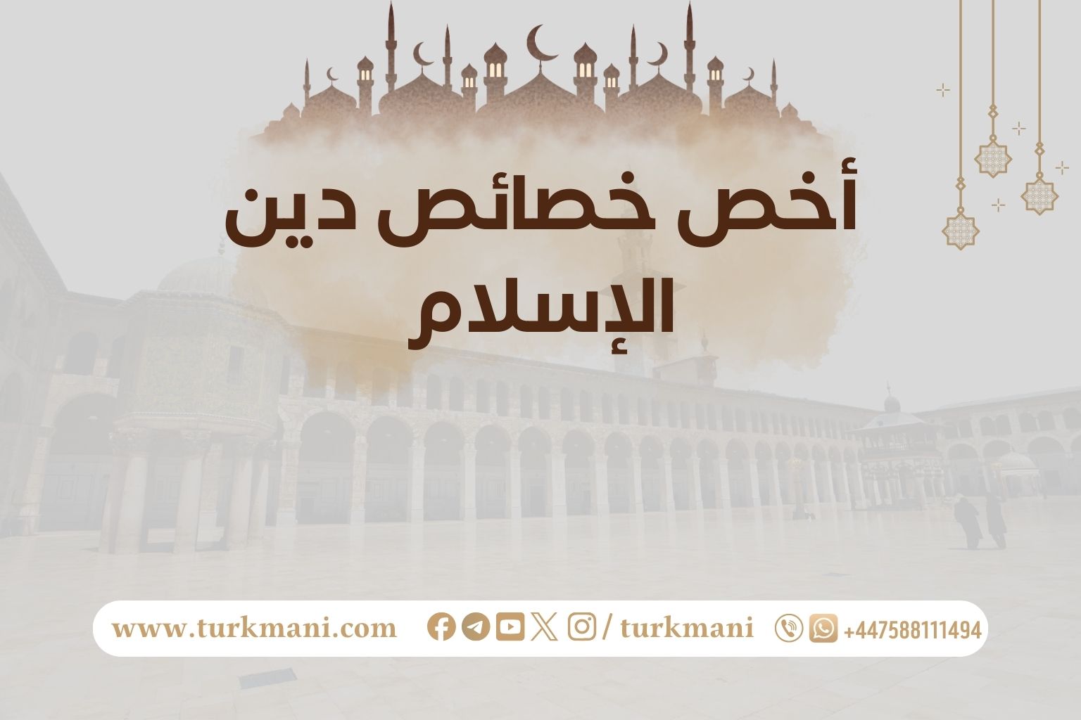 صورة الدورة