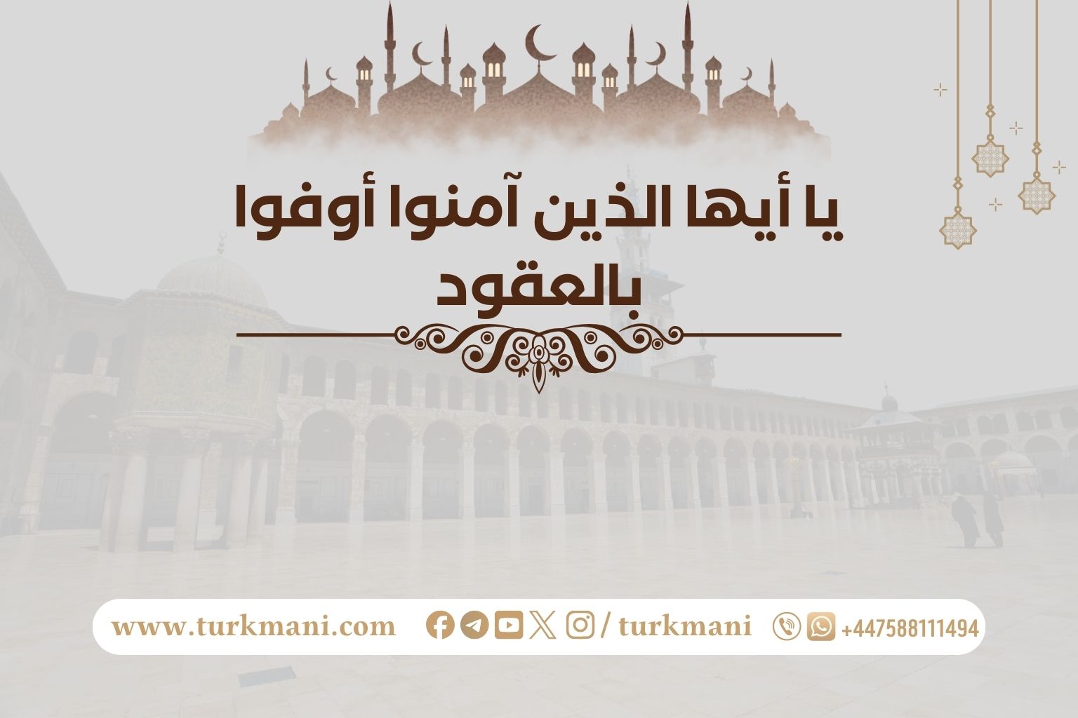 صورة الدورة