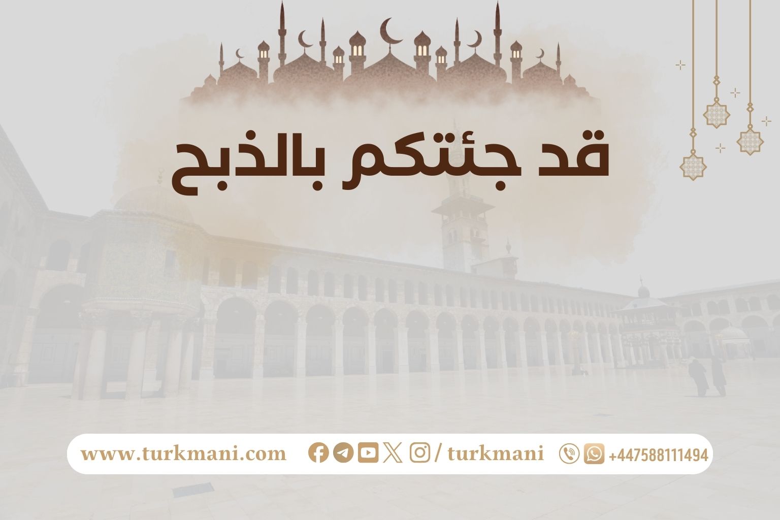 صورة الدورة