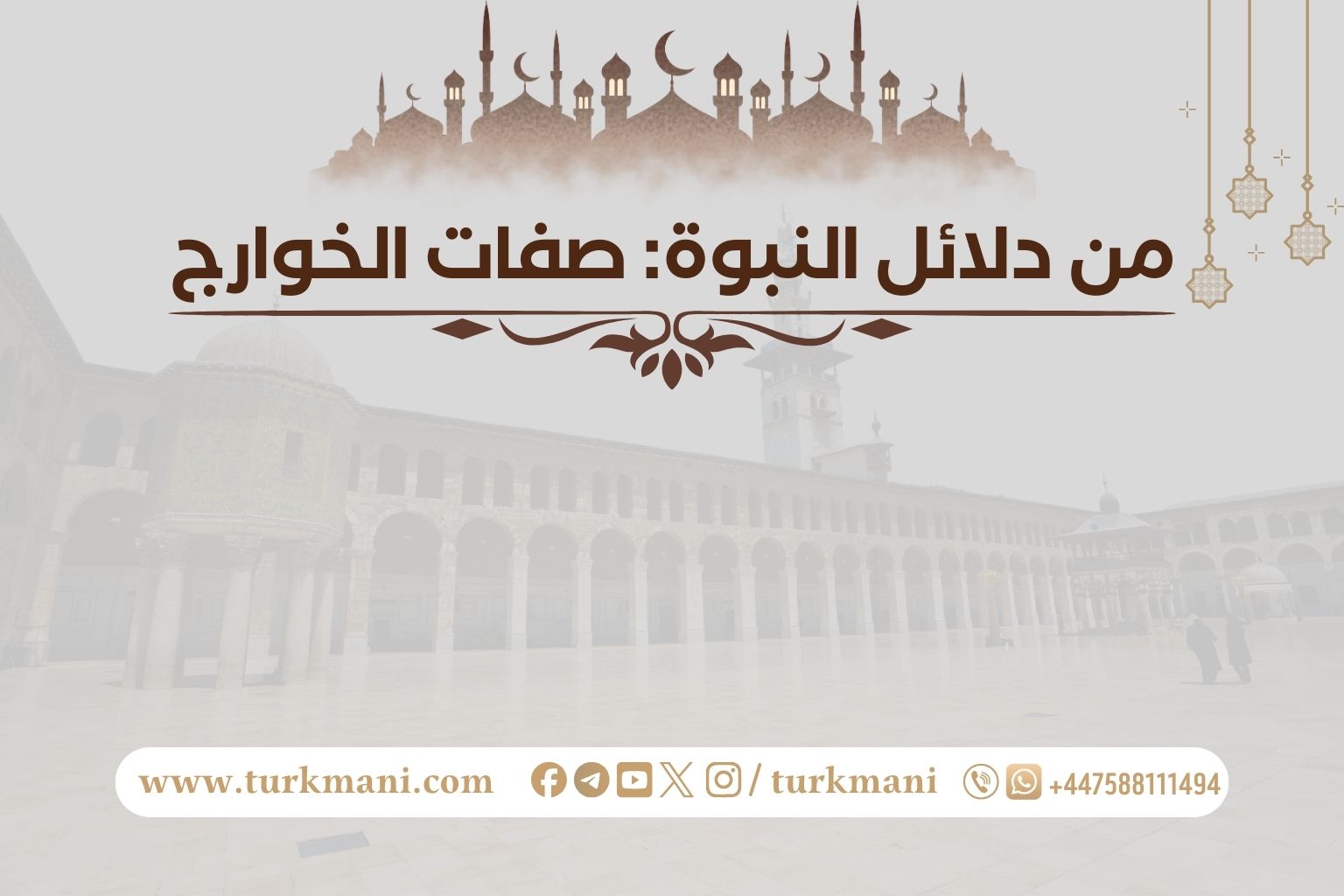 صورة الدورة