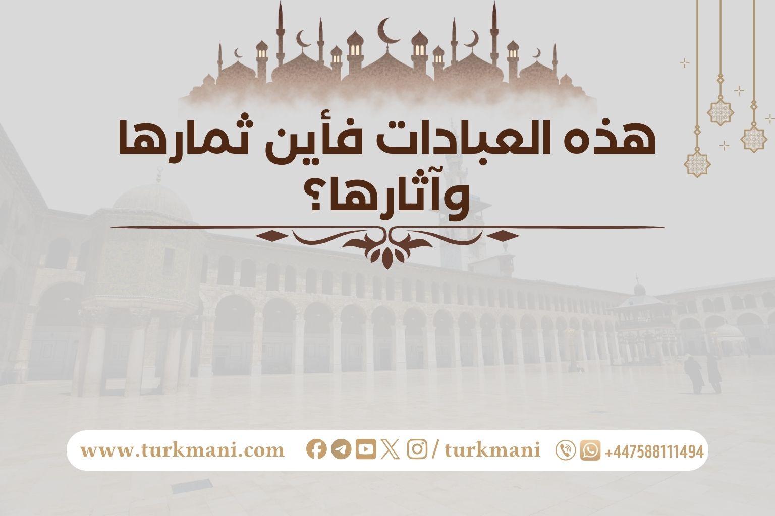 صورة الدورة