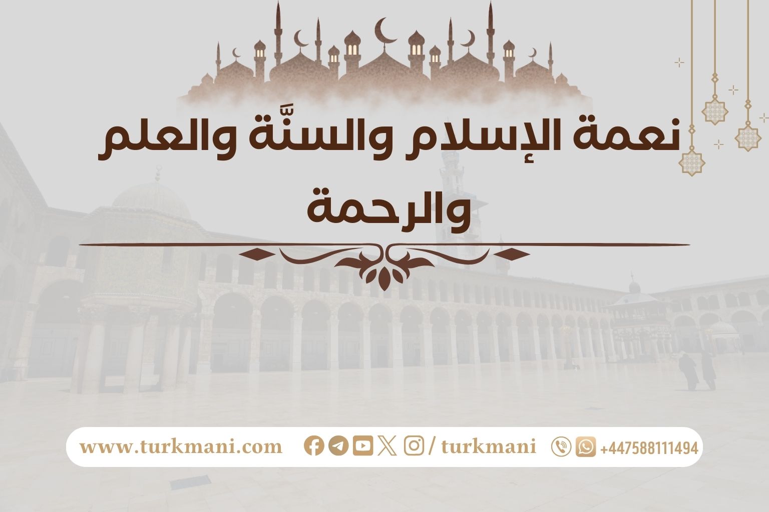 صورة الدورة