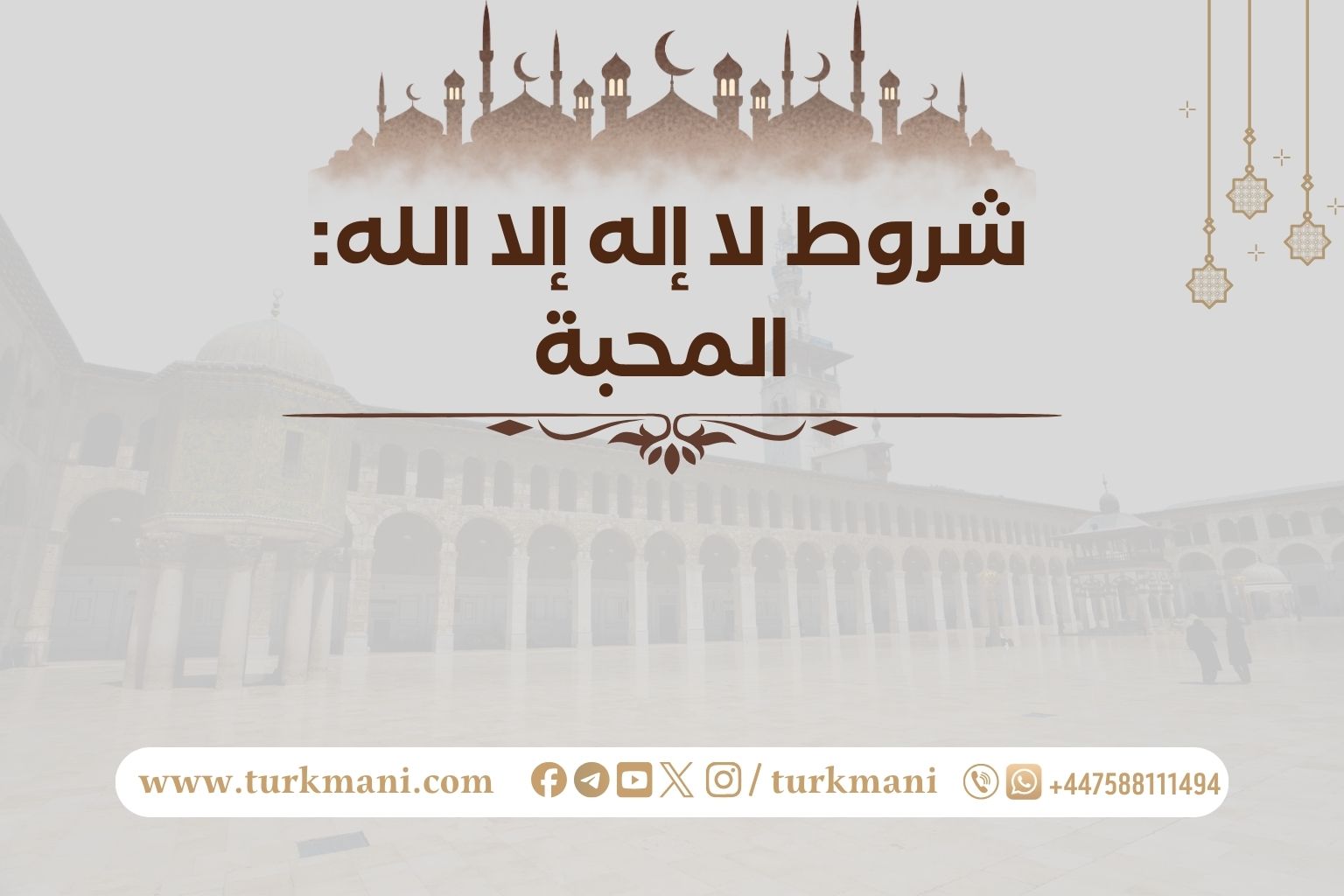 صورة الدورة