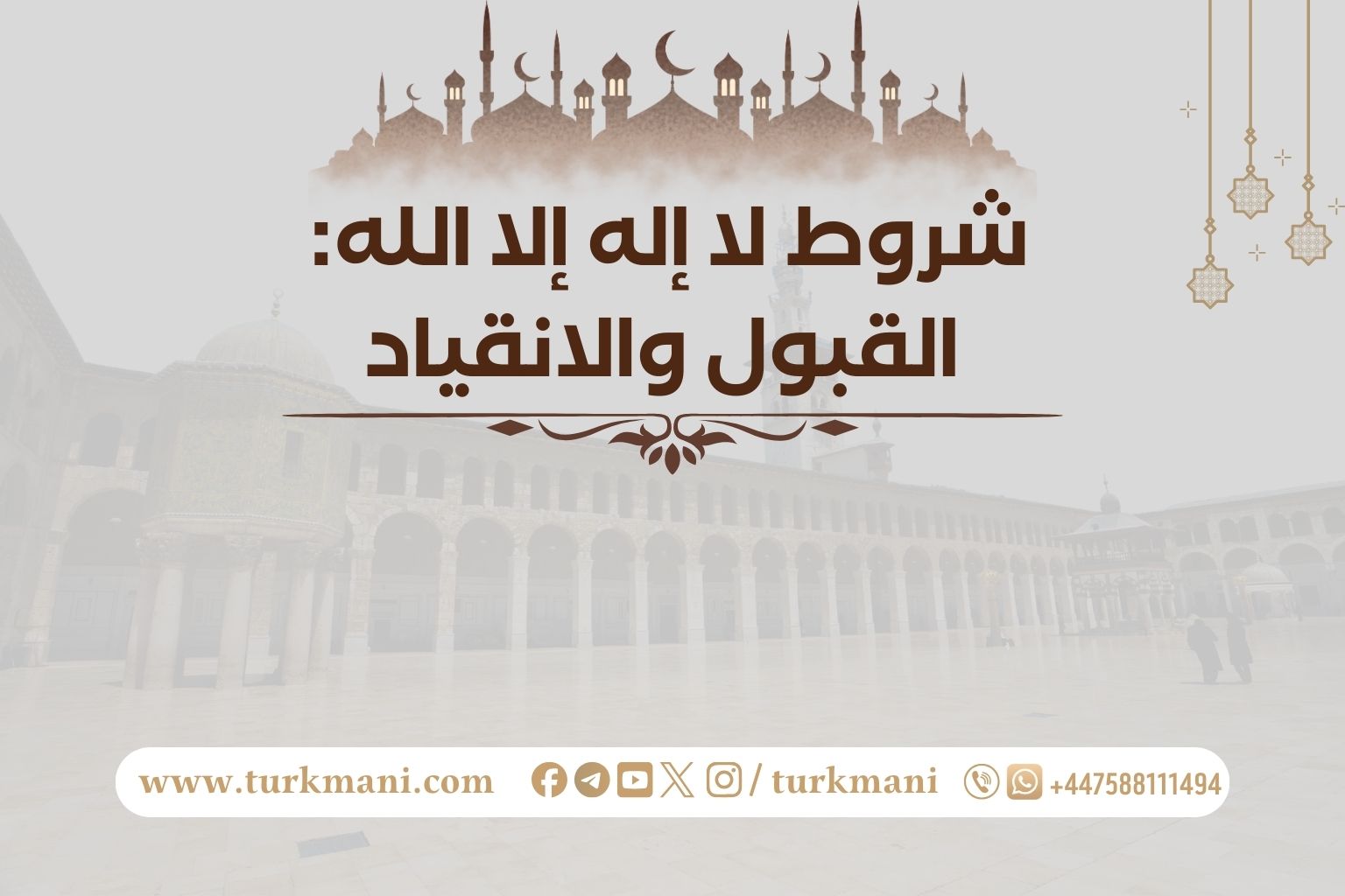 صورة الدورة