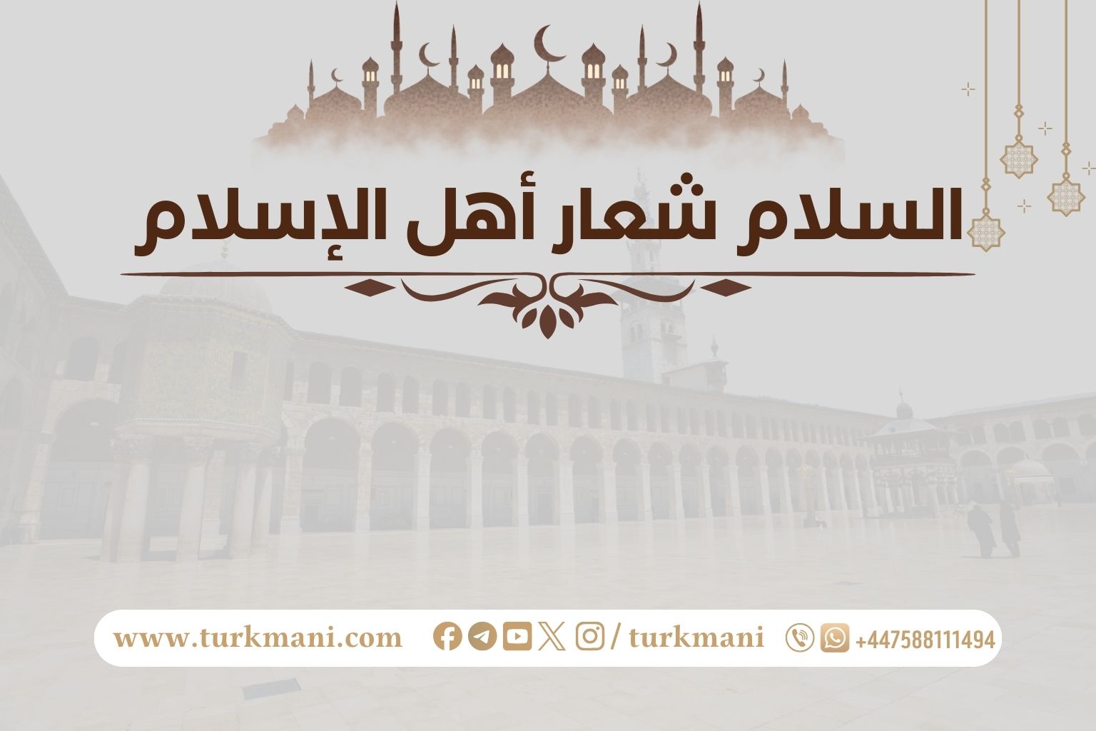 صورة الدورة