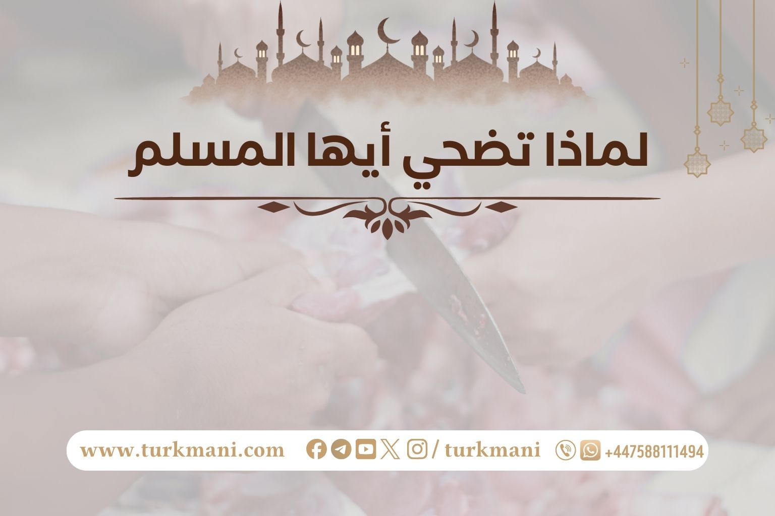 صورة الدورة