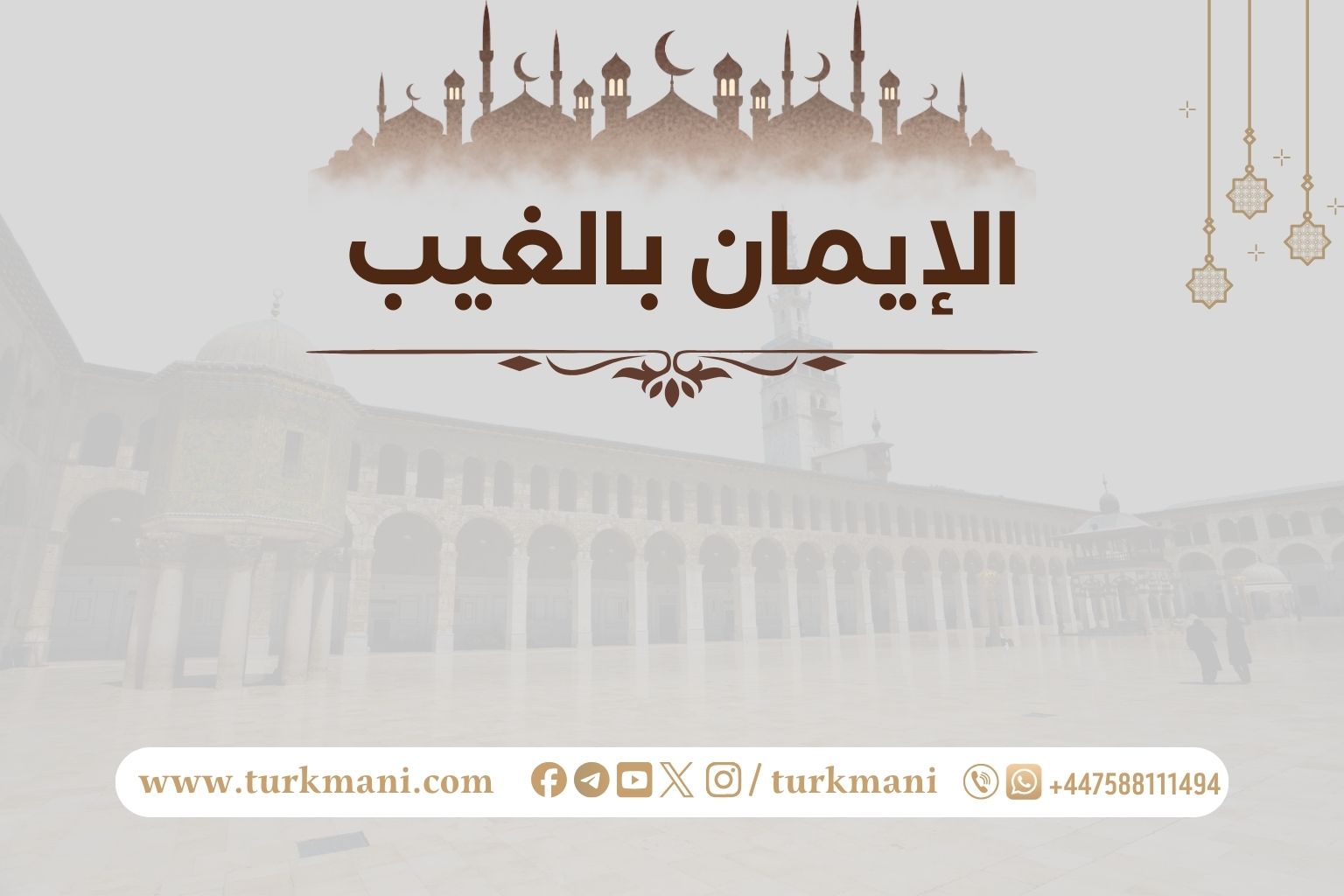 صورة الدورة