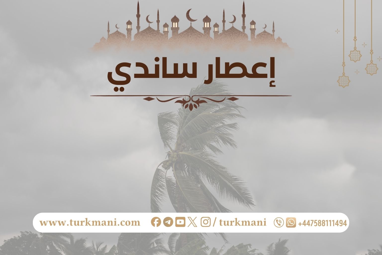 صورة الدورة